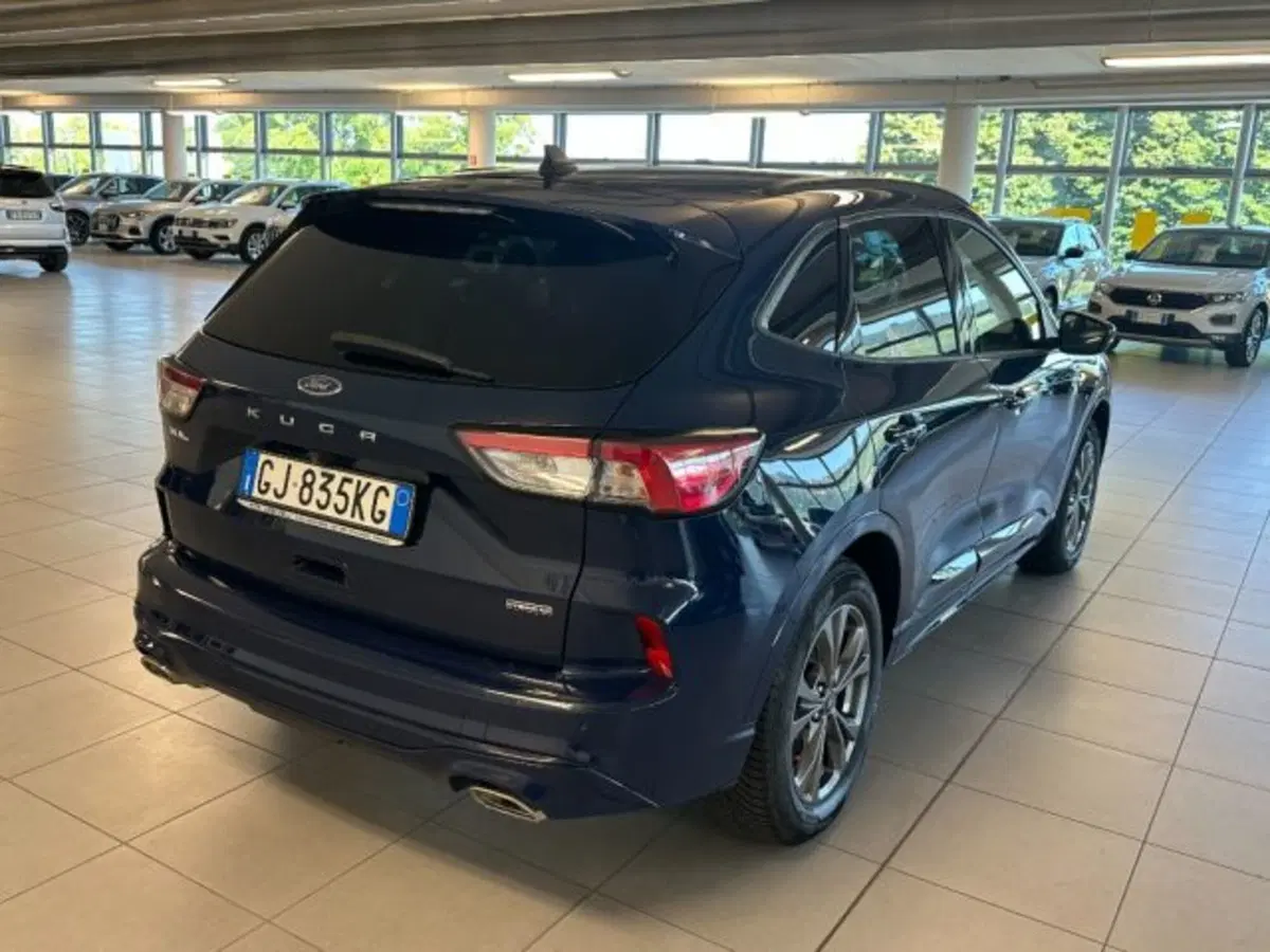 Ford Kuga usata a Cuneo (7)