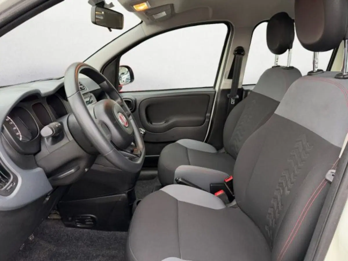 Fiat Panda Cross usata a Treviso (10)