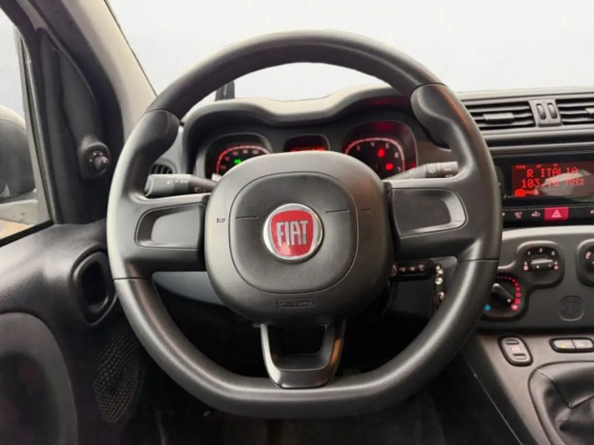 Fiat Panda Cross usata a Treviso (14)