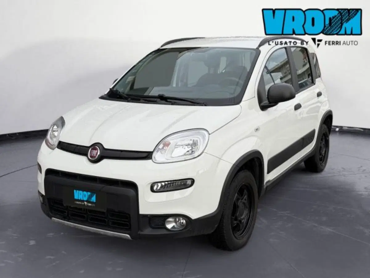 Fiat Panda Cross usata a Treviso (2)