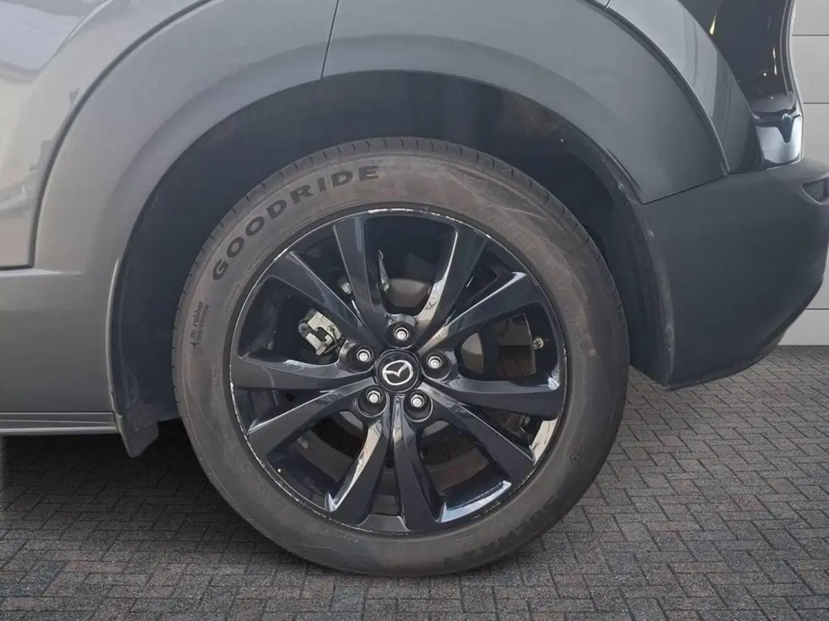 Mazda CX-30 usata a Torino (7)
