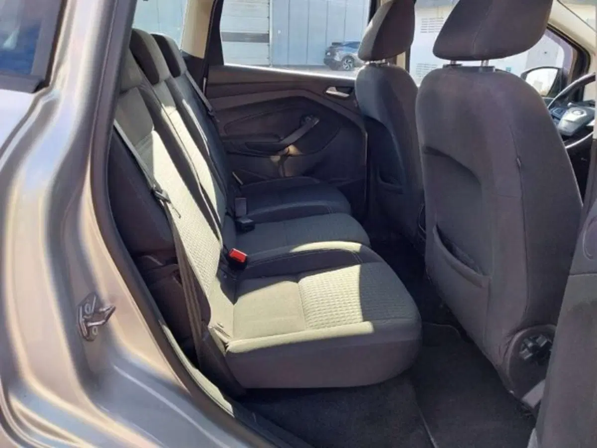 Ford C-Max usata a Firenze (11)