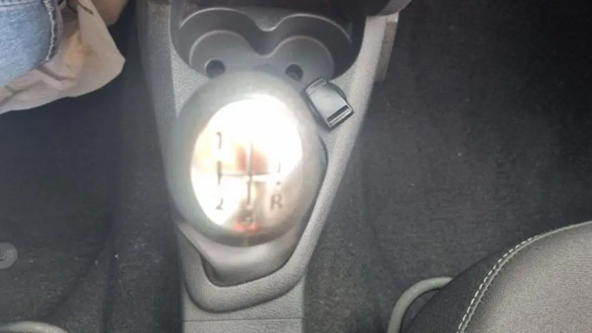 Dacia Sandero usata a Savona (11)