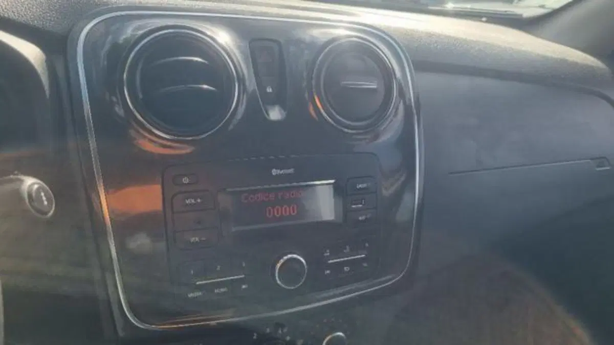 Dacia Sandero usata a Savona (9)