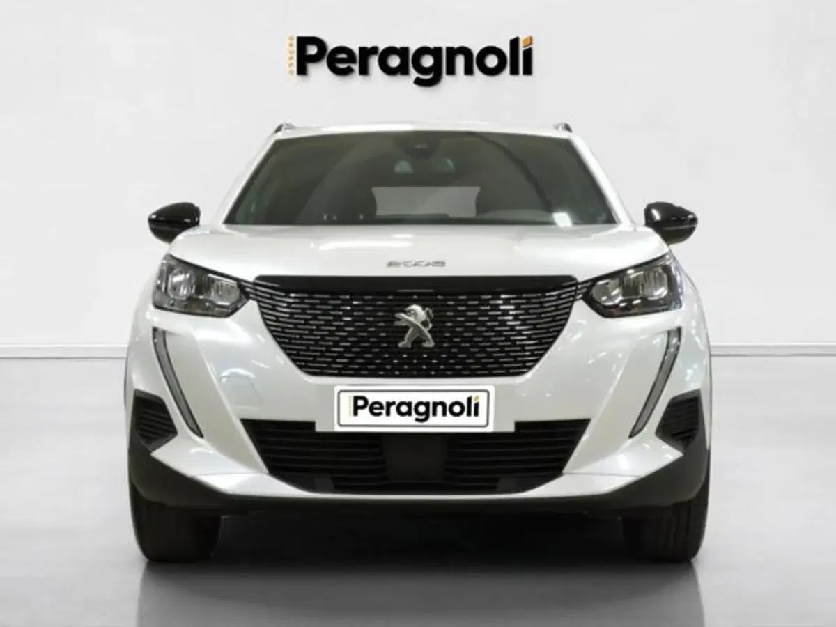 Peugeot 2008 usata a Firenze (2)