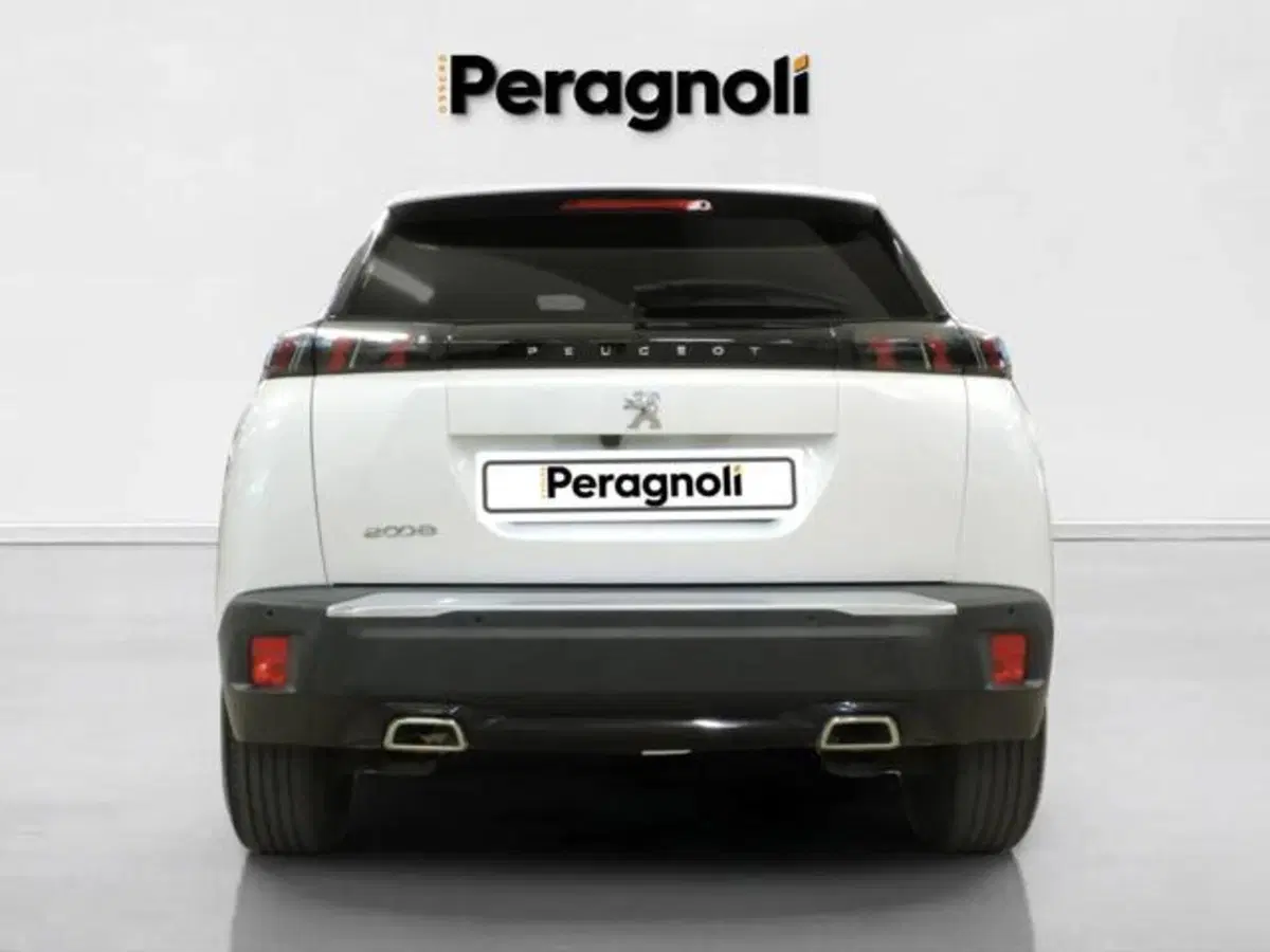 Peugeot 2008 usata a Firenze (4)