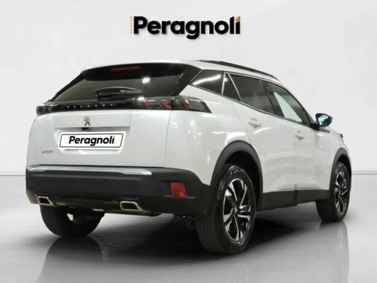 Peugeot 2008 usata a Firenze (5)