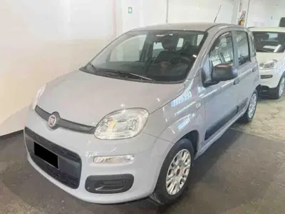 Fiat Panda 1.2 EasyPower Easy del 2018 usata a Pianezza