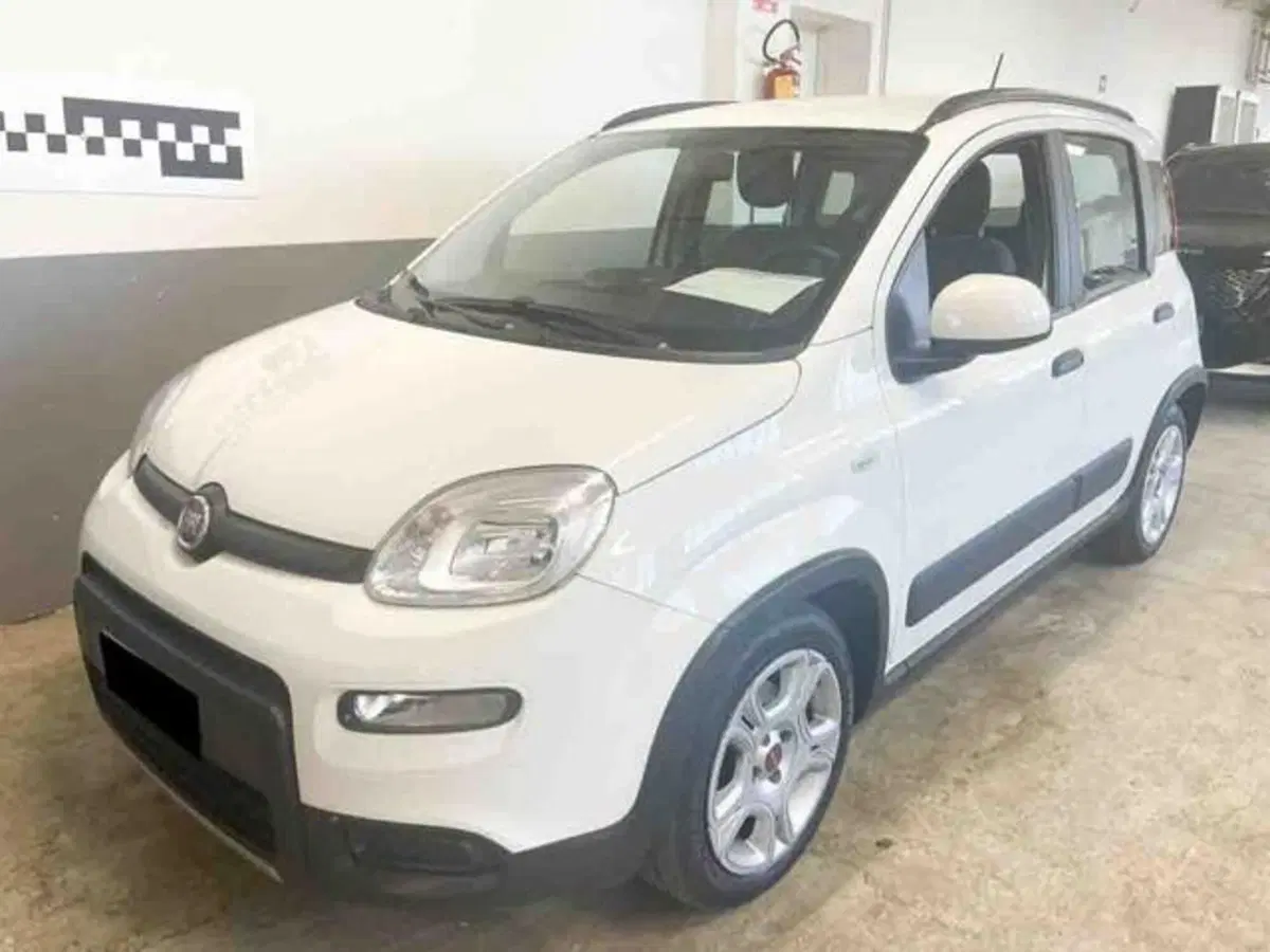 Fiat Panda usata a Torino