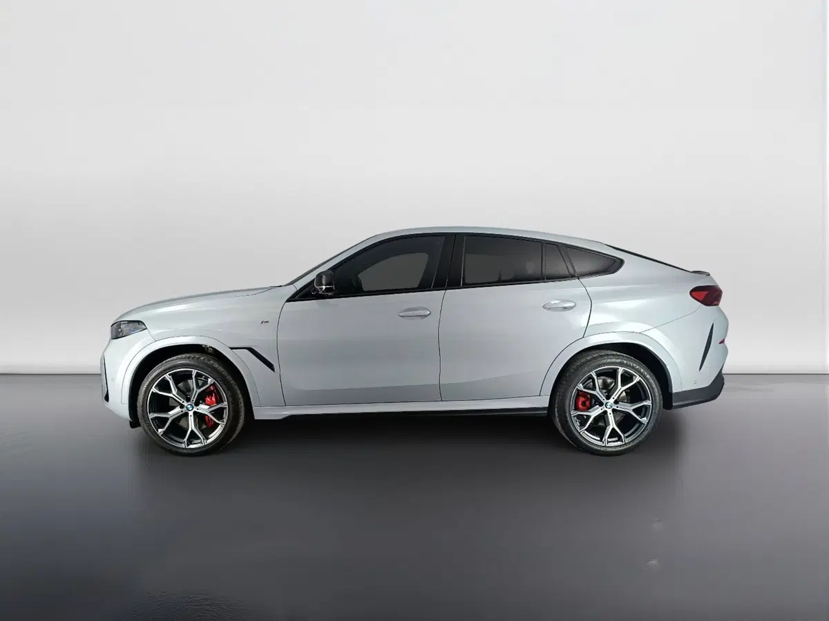 BMW X6 usata a Ascoli Piceno (6)