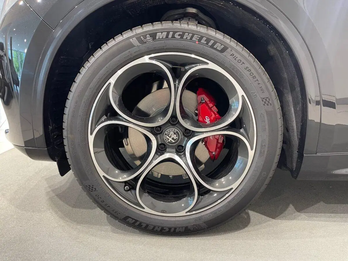 Alfa Romeo Stelvio nuova a Sondrio (9)