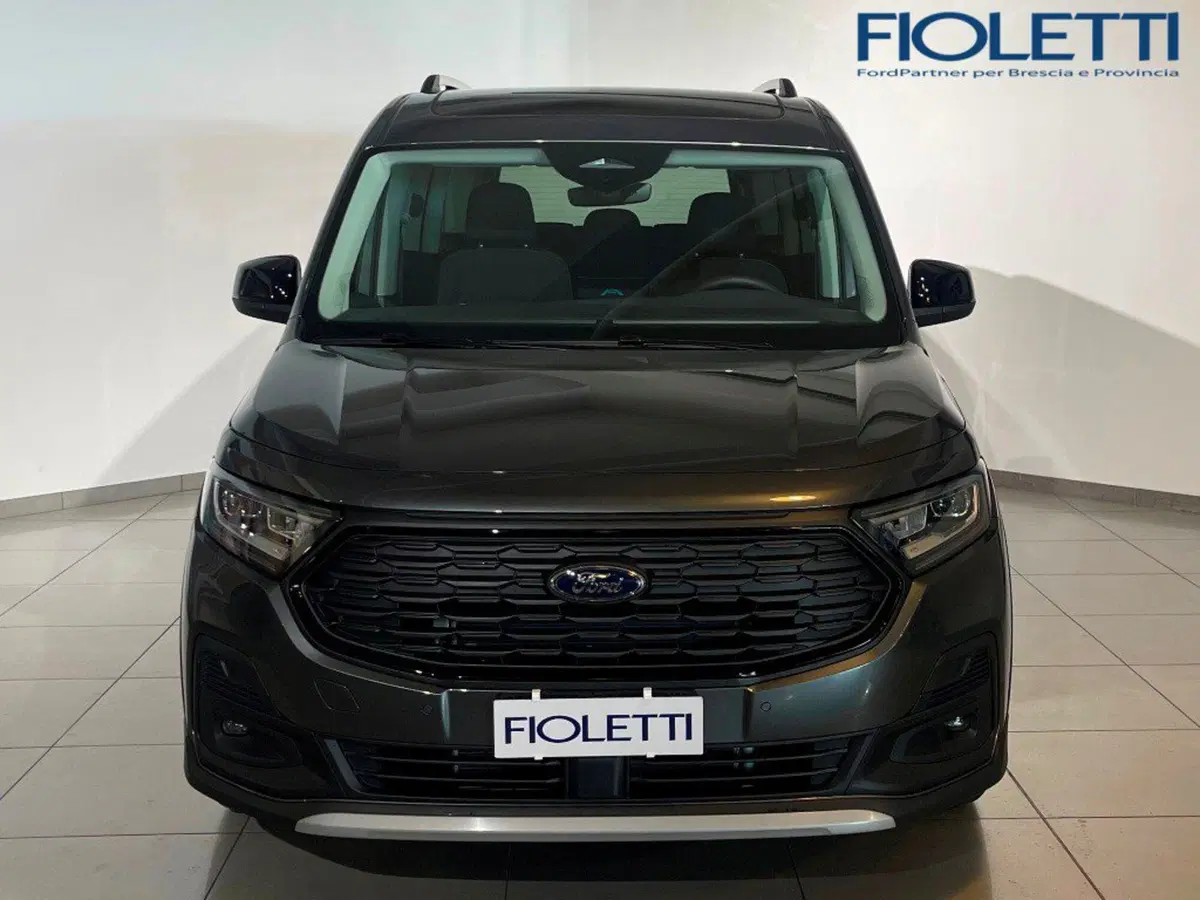 Ford Tourneo Connect usata a Brescia (3)
