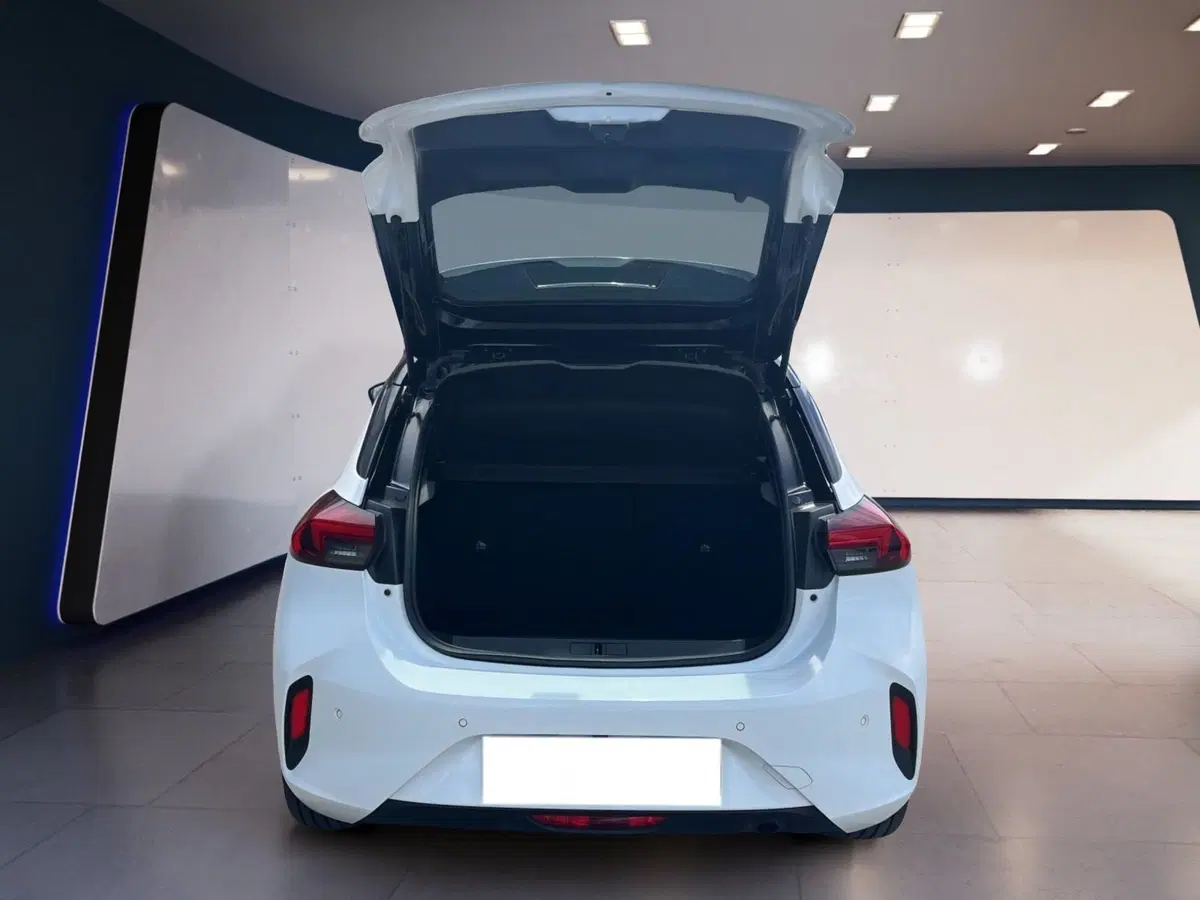 Opel Corsa usata a Torino (8)