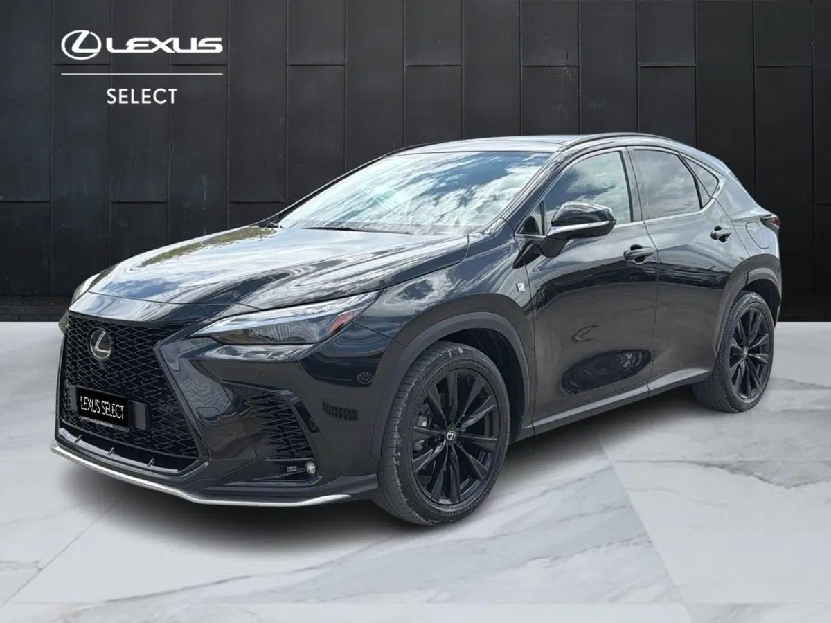 Lexus NX usata a Siracusa
