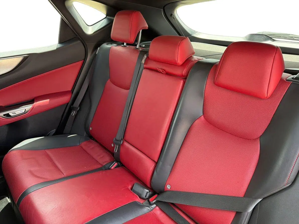 Lexus NX usata a Siracusa (11)
