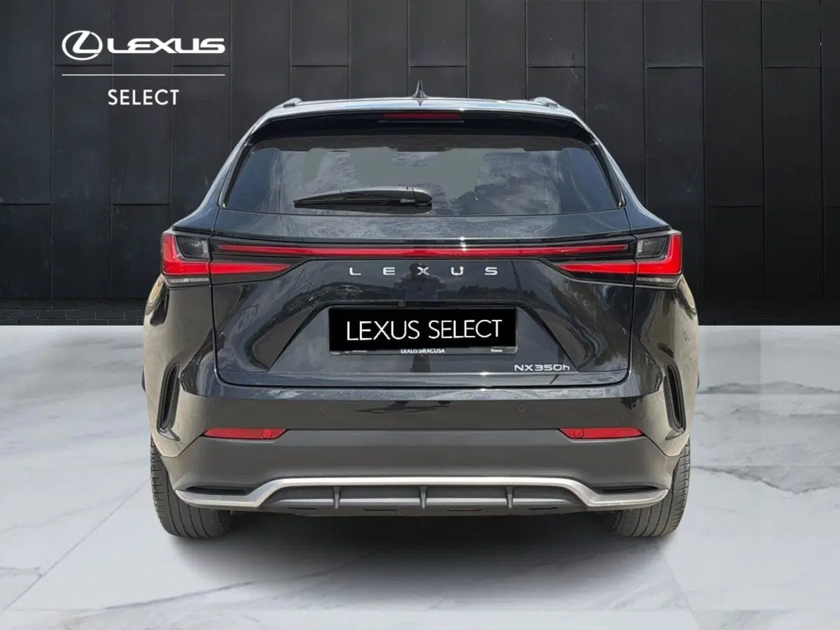 Lexus NX usata a Siracusa (12)