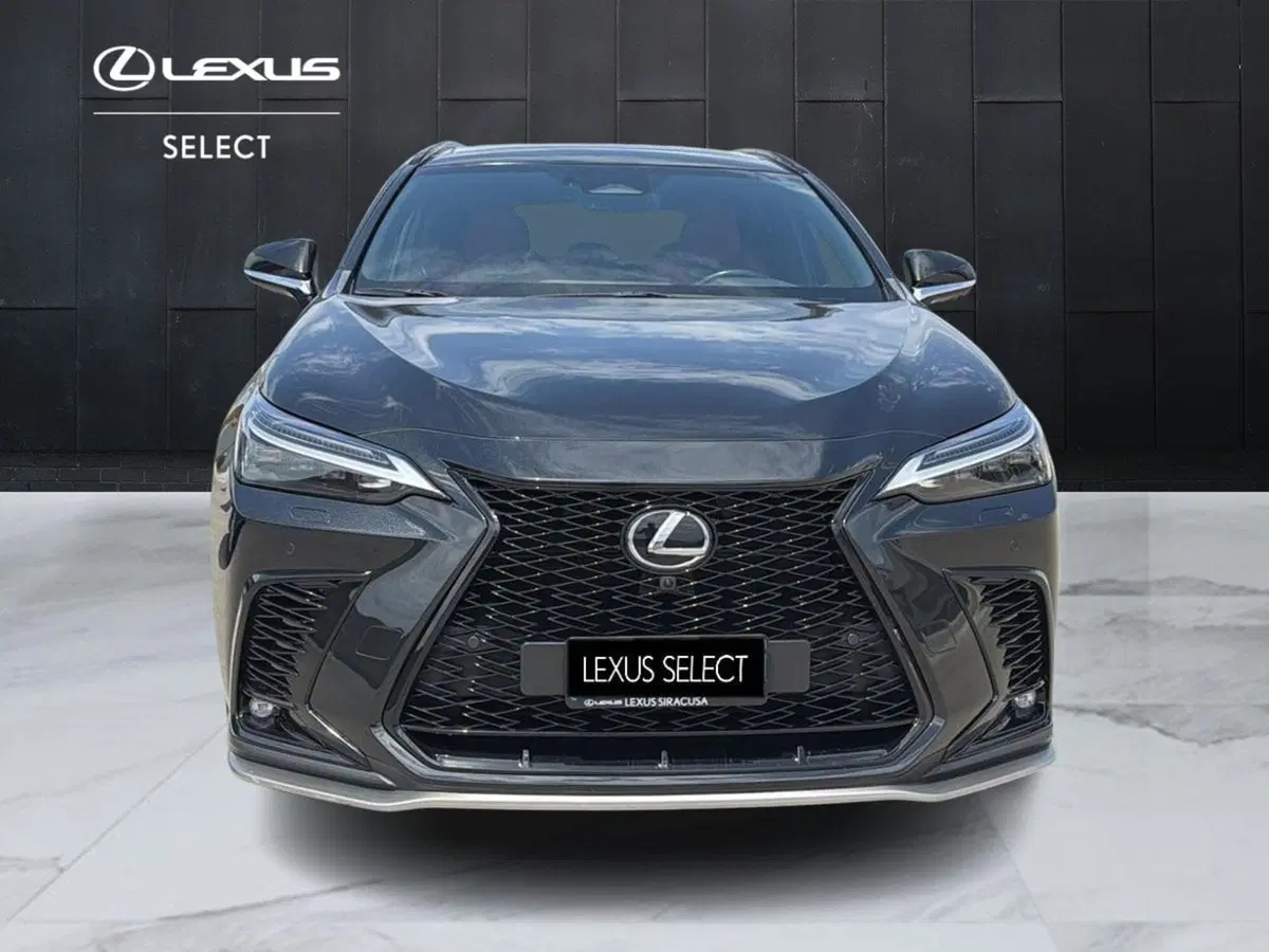 Lexus NX usata a Siracusa (13)