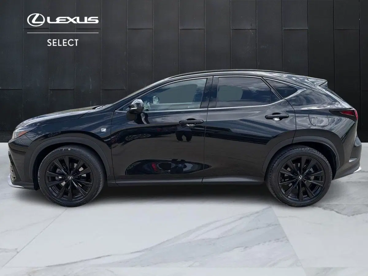 Lexus NX usata a Siracusa (3)