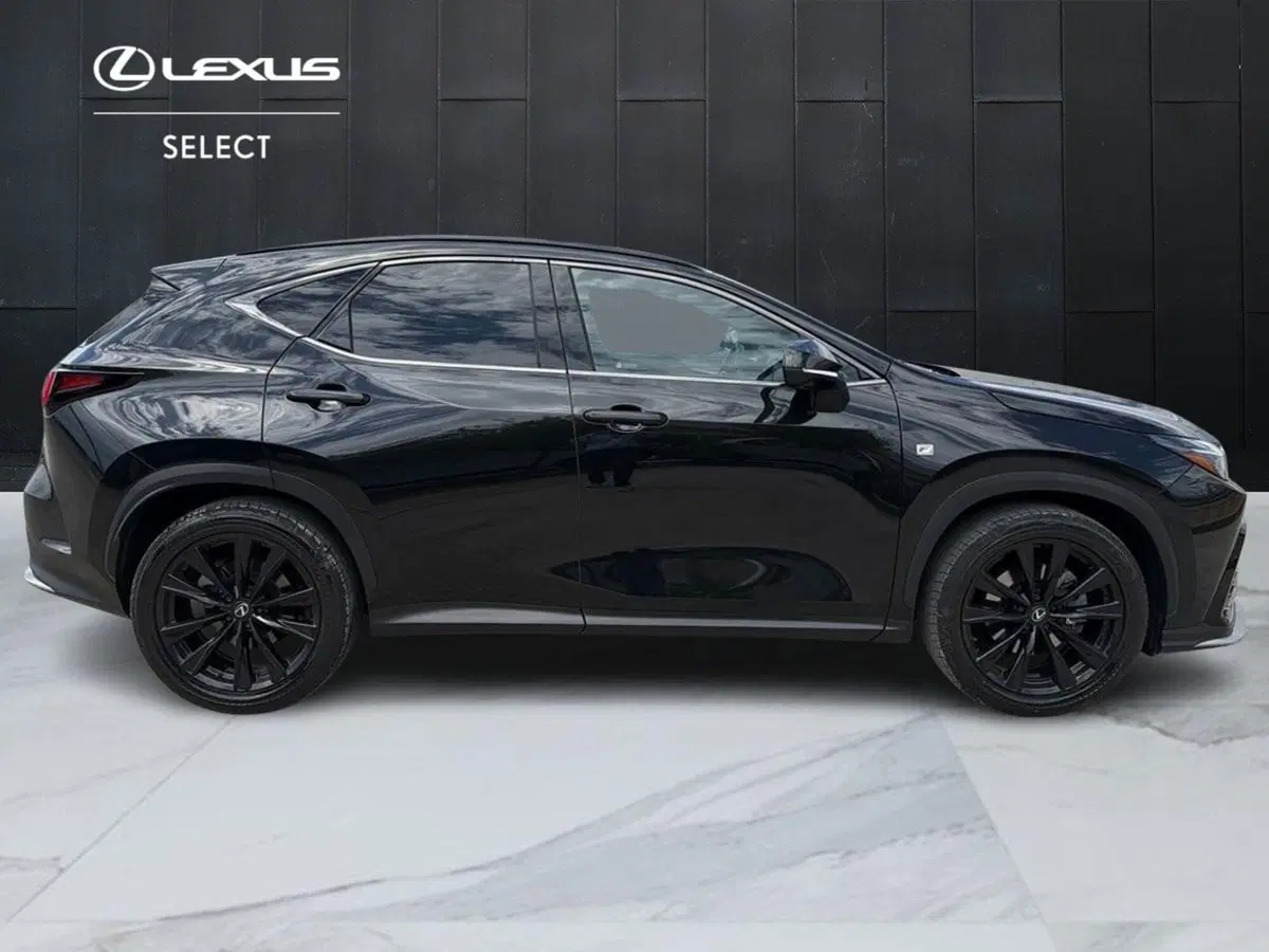 Lexus NX usata a Siracusa (4)