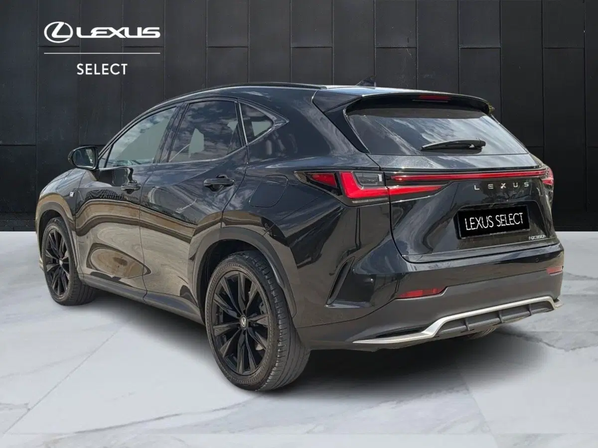 Lexus NX usata a Siracusa (5)