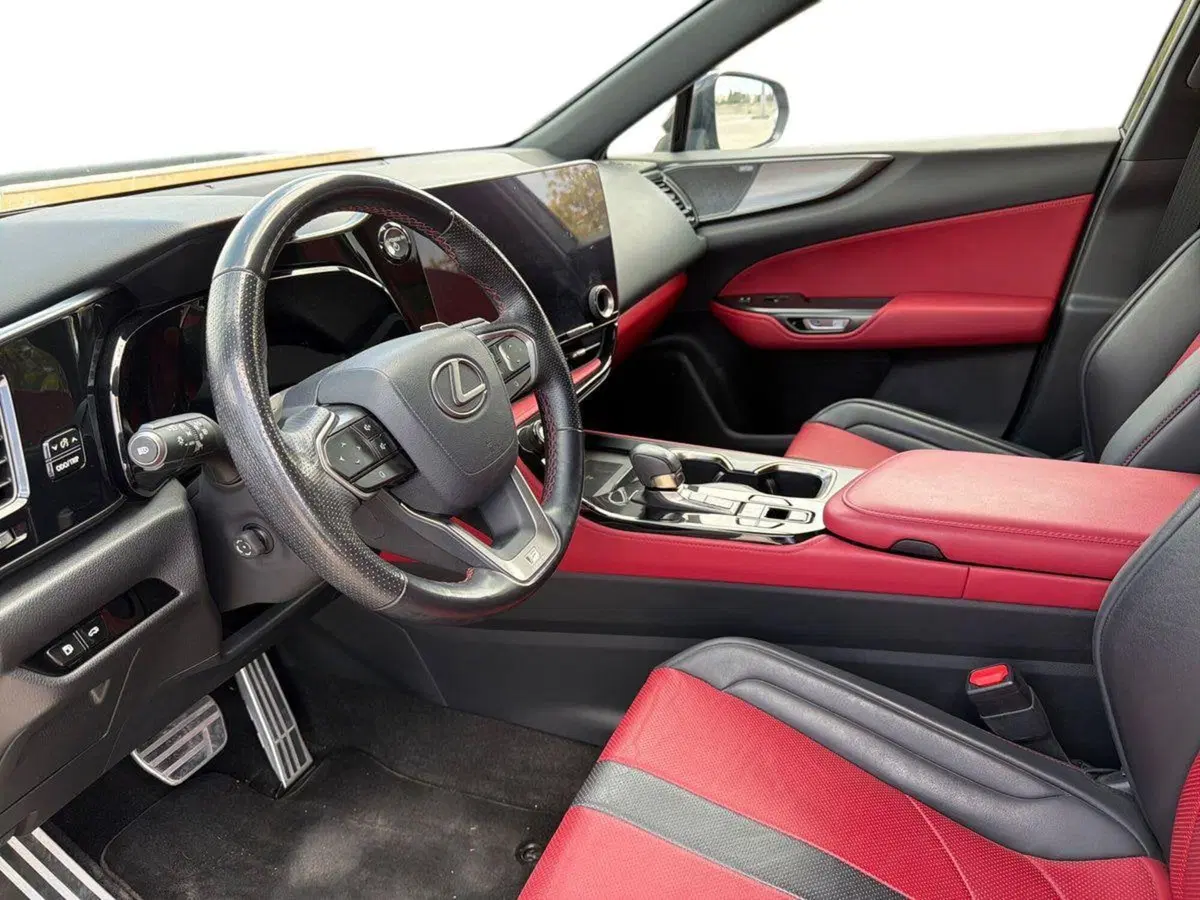 Lexus NX usata a Siracusa (7)