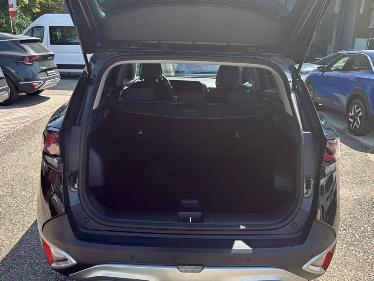 Kia Sportage usata a Ravenna (11)