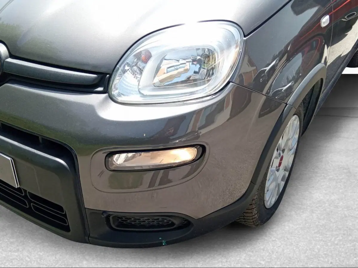 Fiat Panda usata a Firenze (2)
