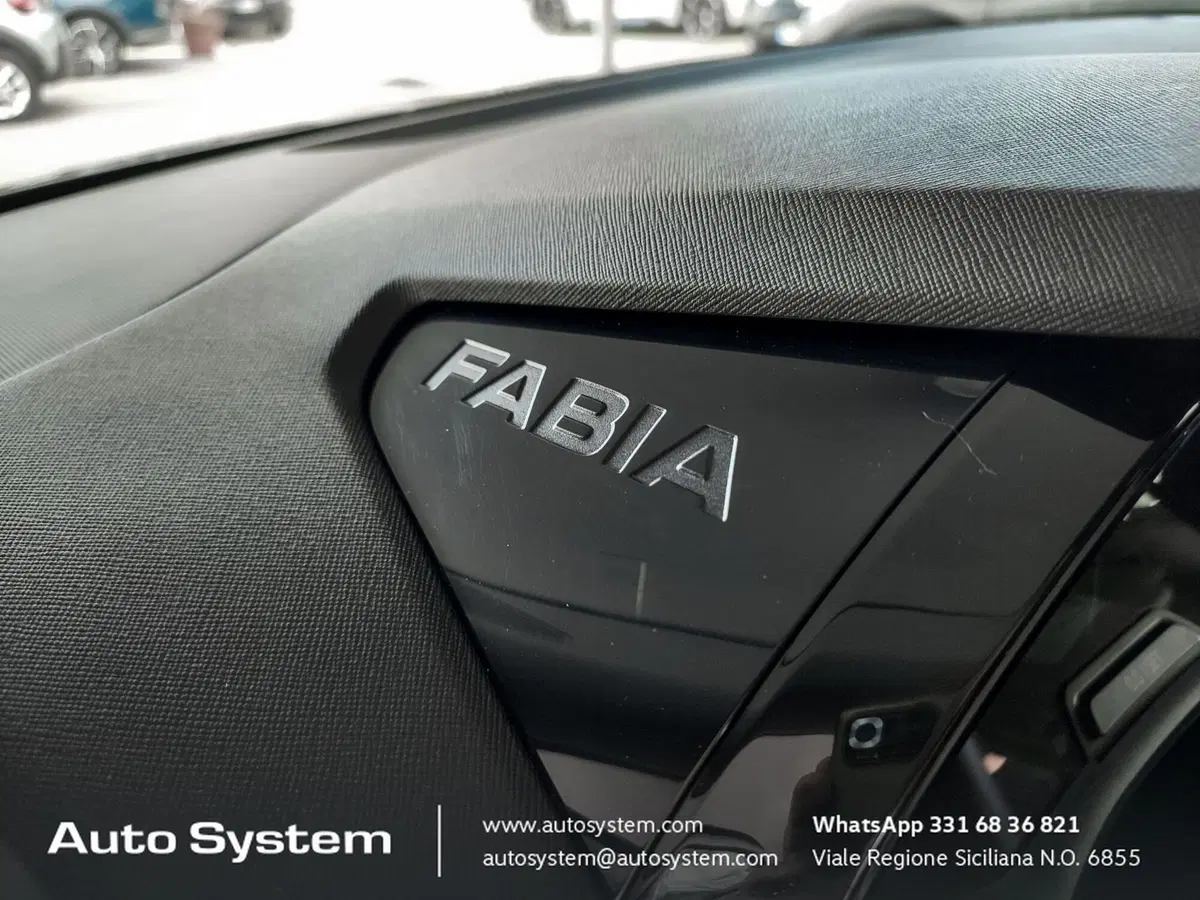 Skoda Fabia usata a Palermo (17)