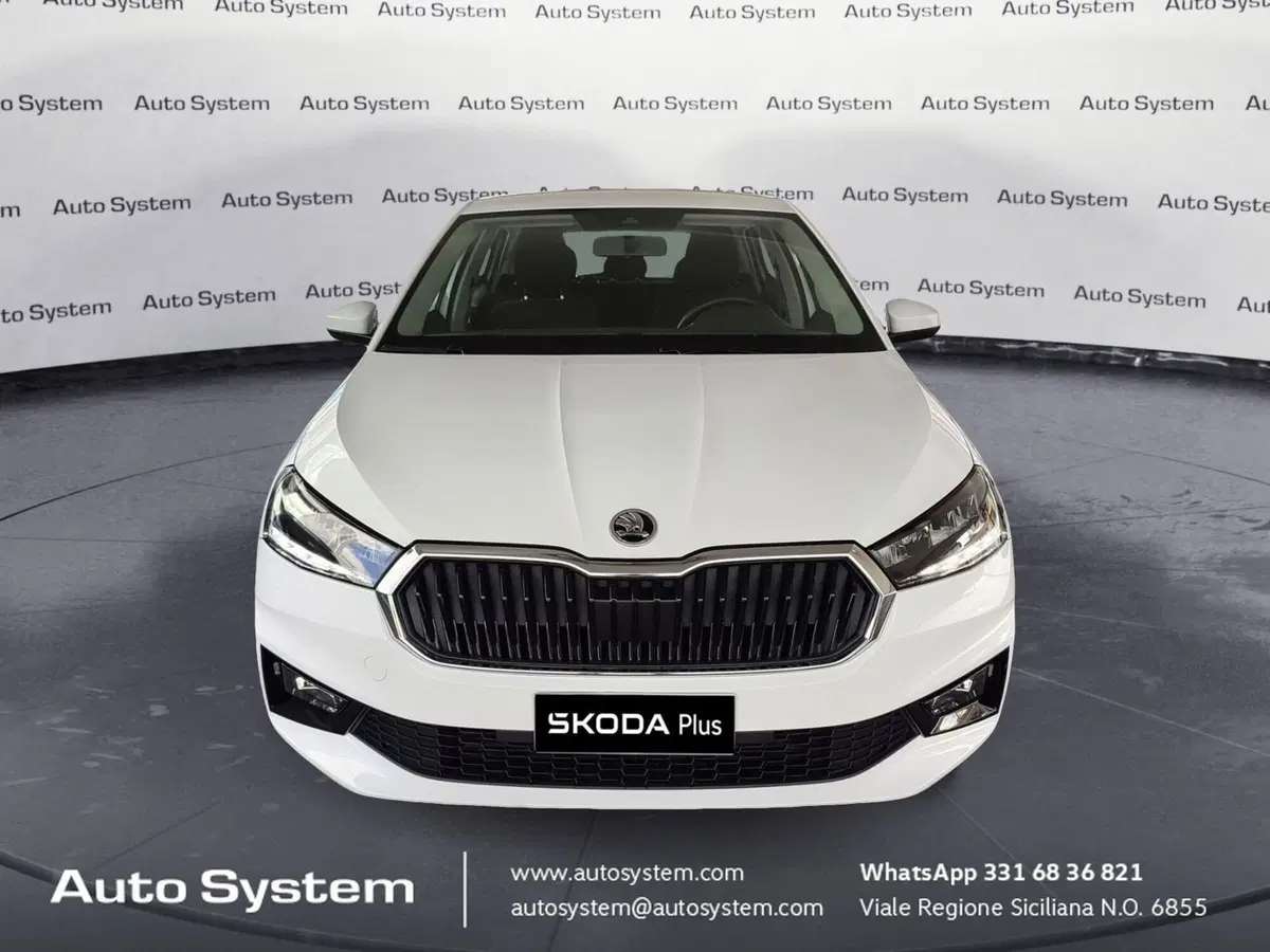Skoda Fabia usata a Palermo (2)