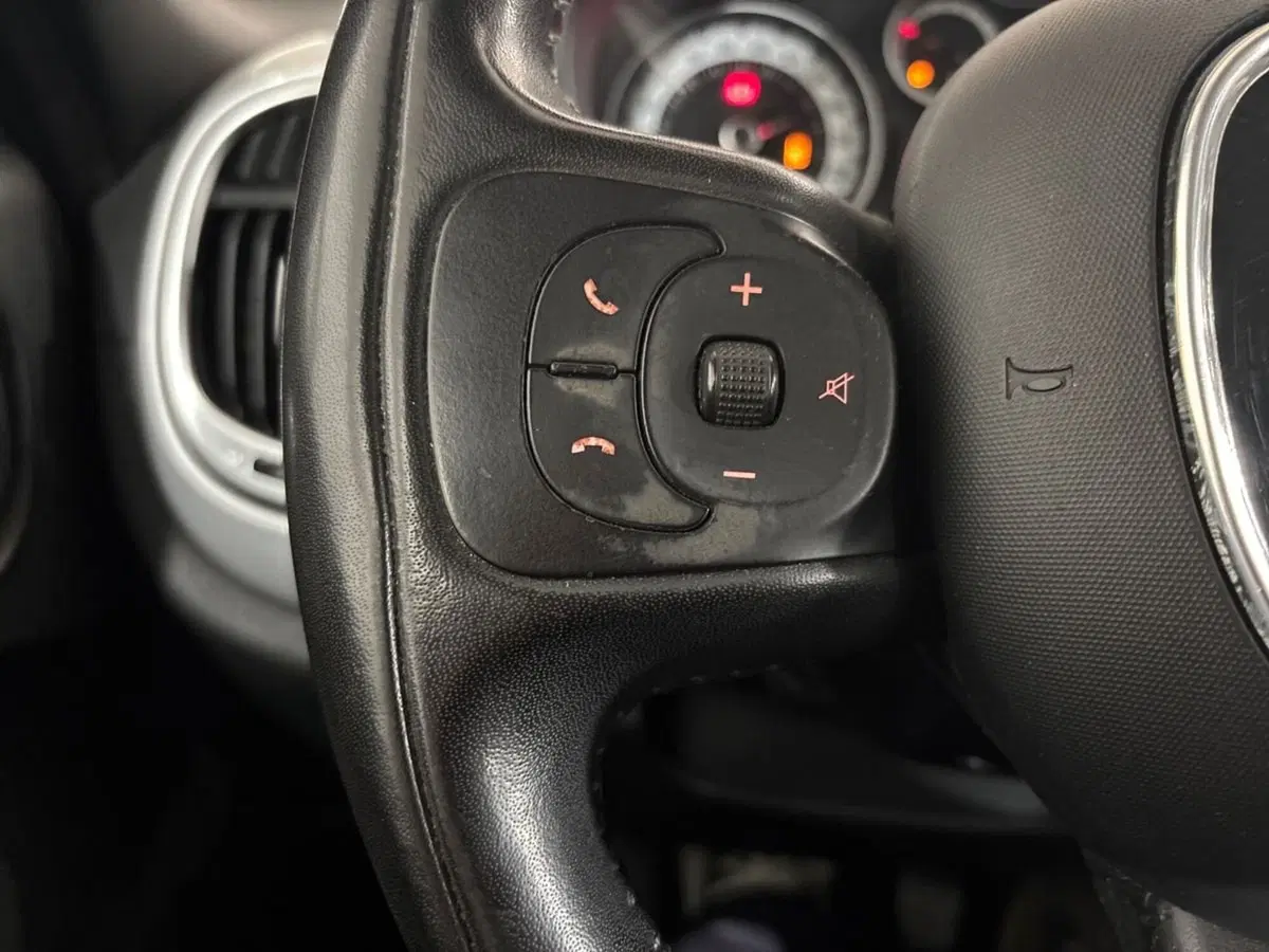 Fiat 500L usata a Torino (15)