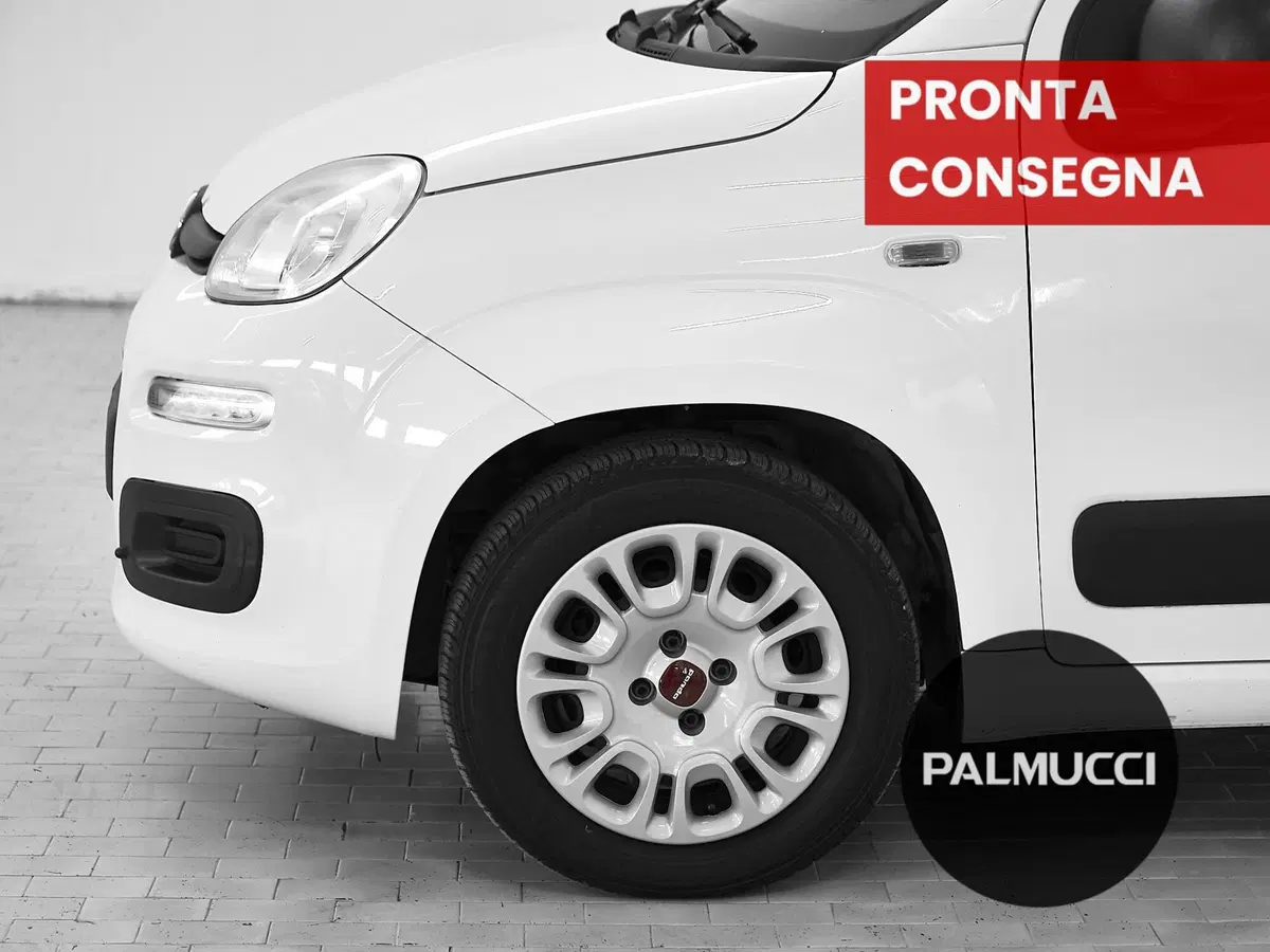 Fiat Panda usata a Prato (13)