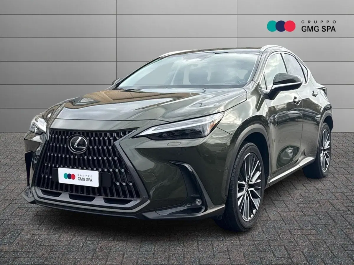 Lexus NX usata a Prato