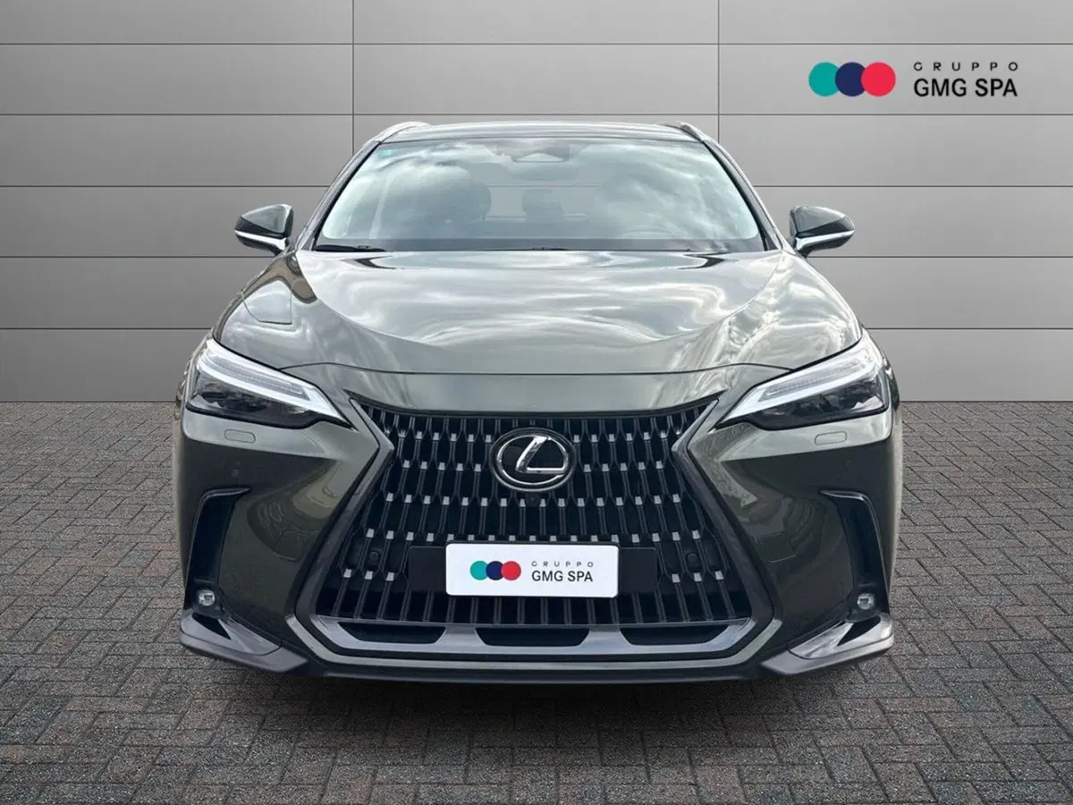 Lexus NX usata a Prato (2)