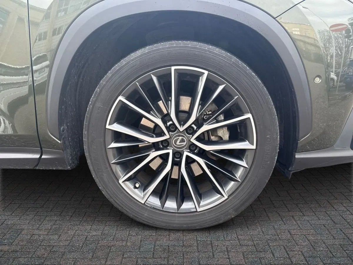 Lexus NX usata a Prato (6)