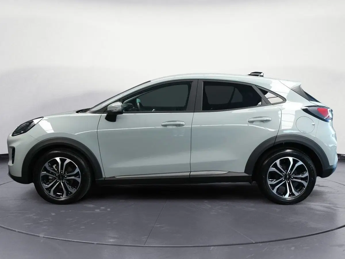 Ford Puma usata a Venezia (2)