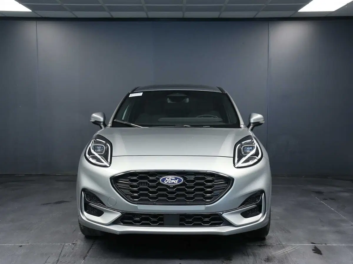 Ford Puma usata a Venezia (8)