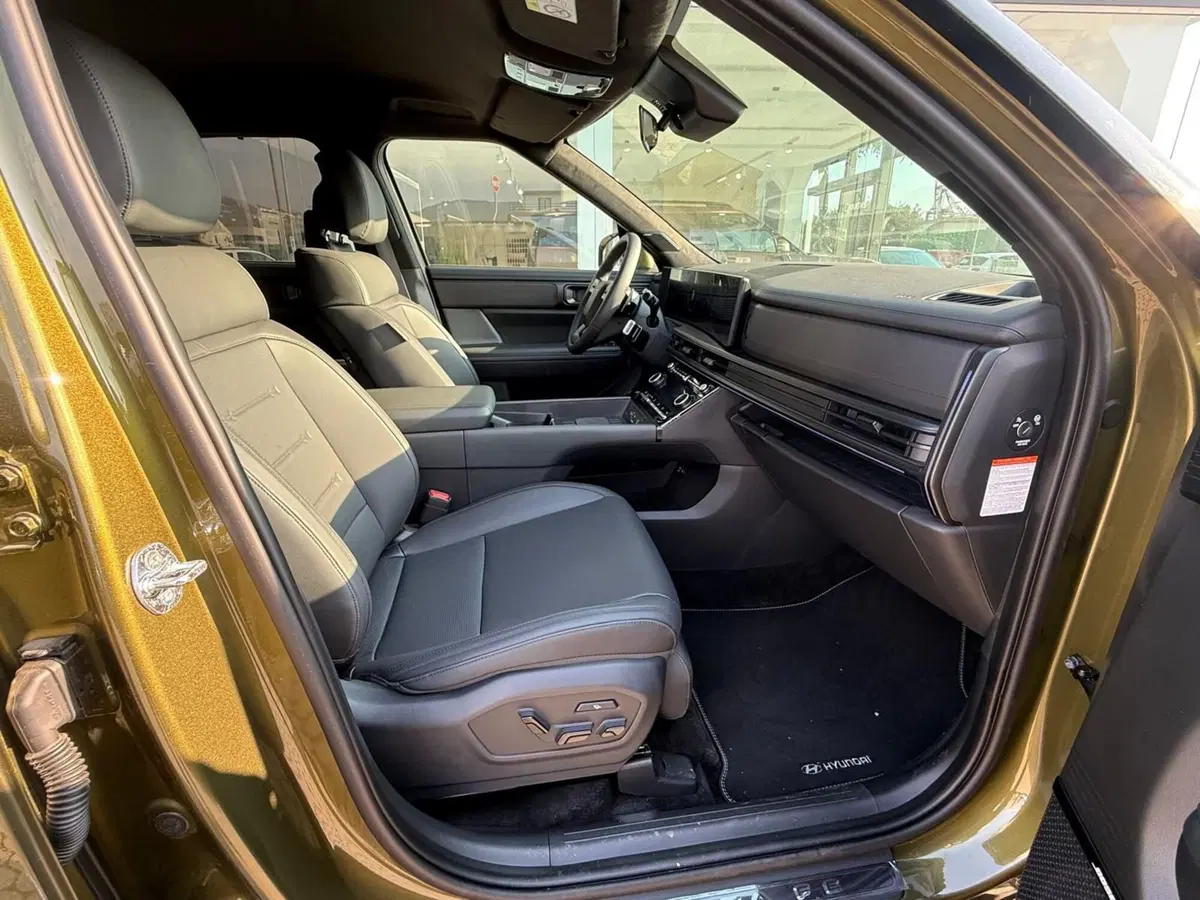 Hyundai Santa Fe usata a Massa-Carrara (5)