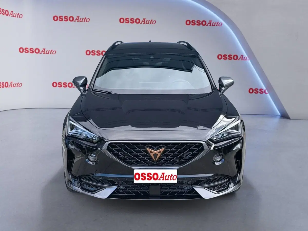 Cupra Formentor usata a Udine (5)