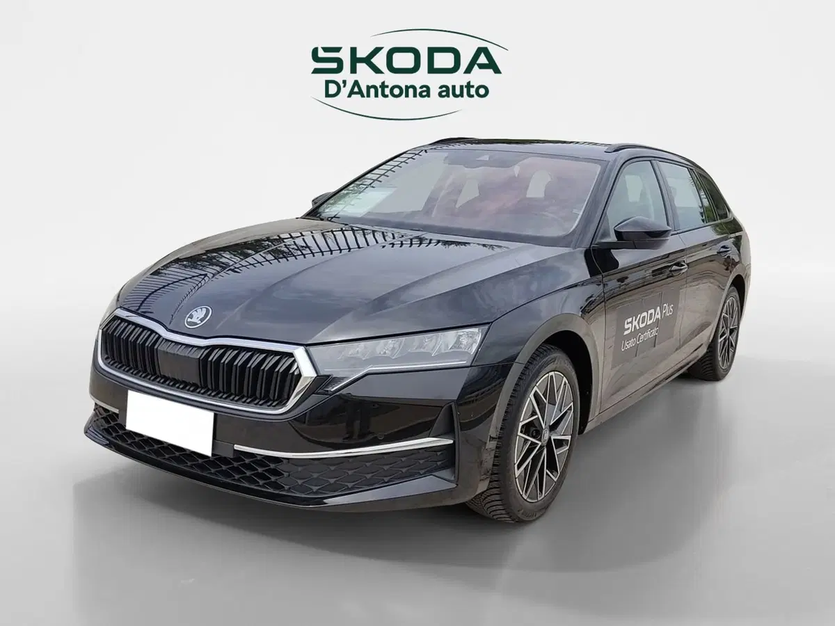 Skoda Octavia Station Wagon usata a Taranto (6)