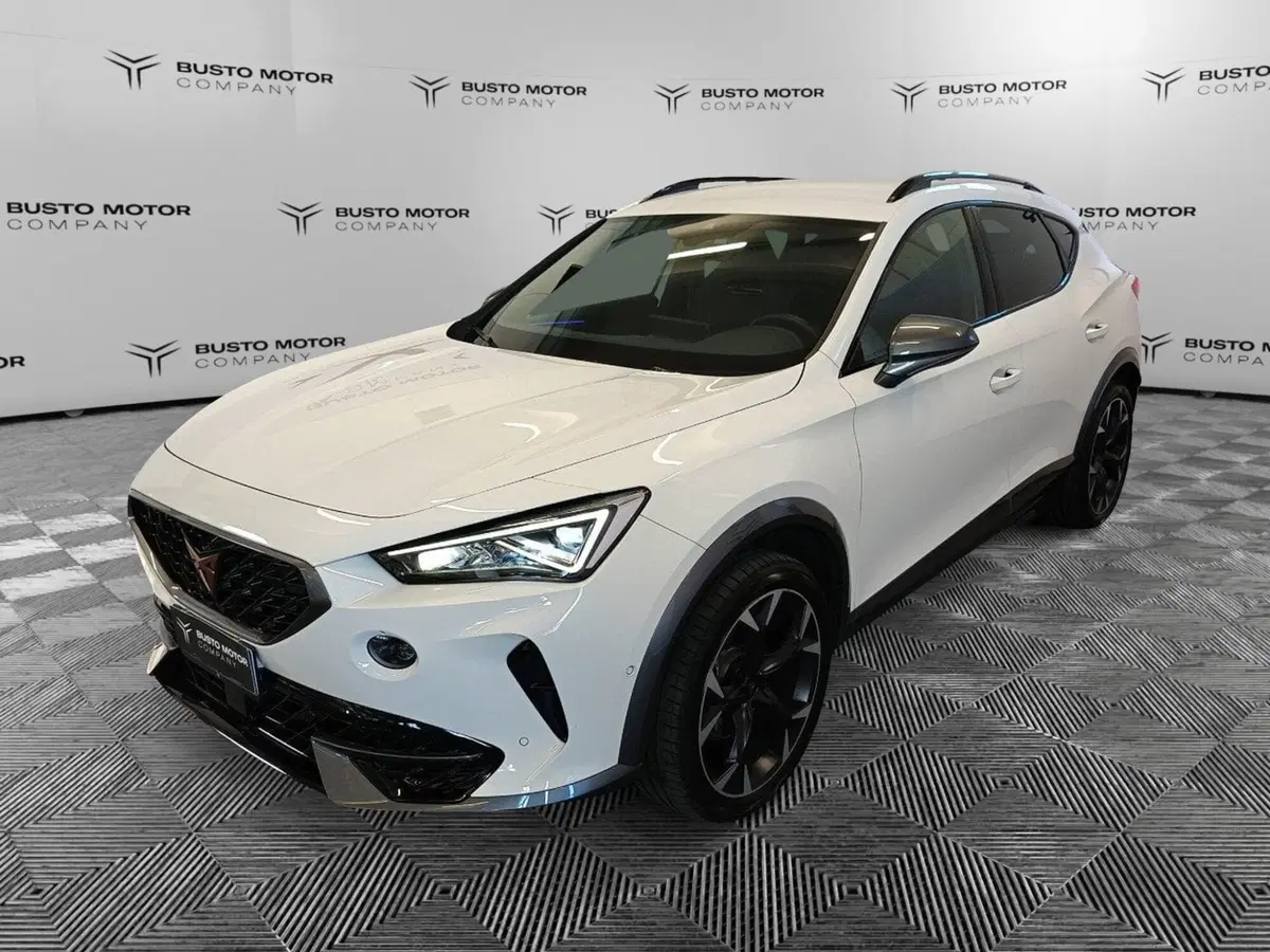 Cupra Formentor usata a Varese (3)
