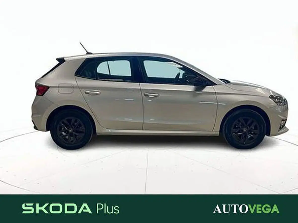 Skoda Fabia usata a Vicenza (3)