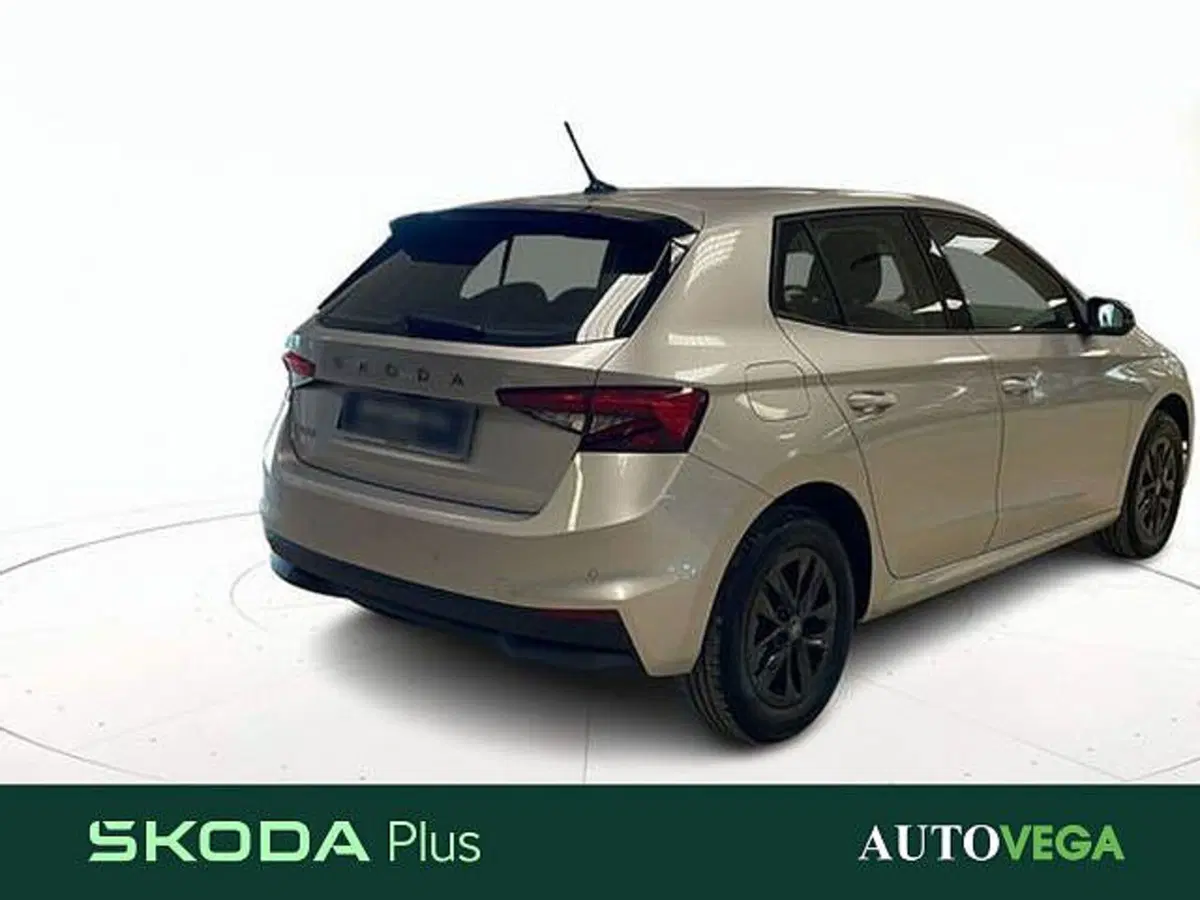 Skoda Fabia usata a Vicenza (4)