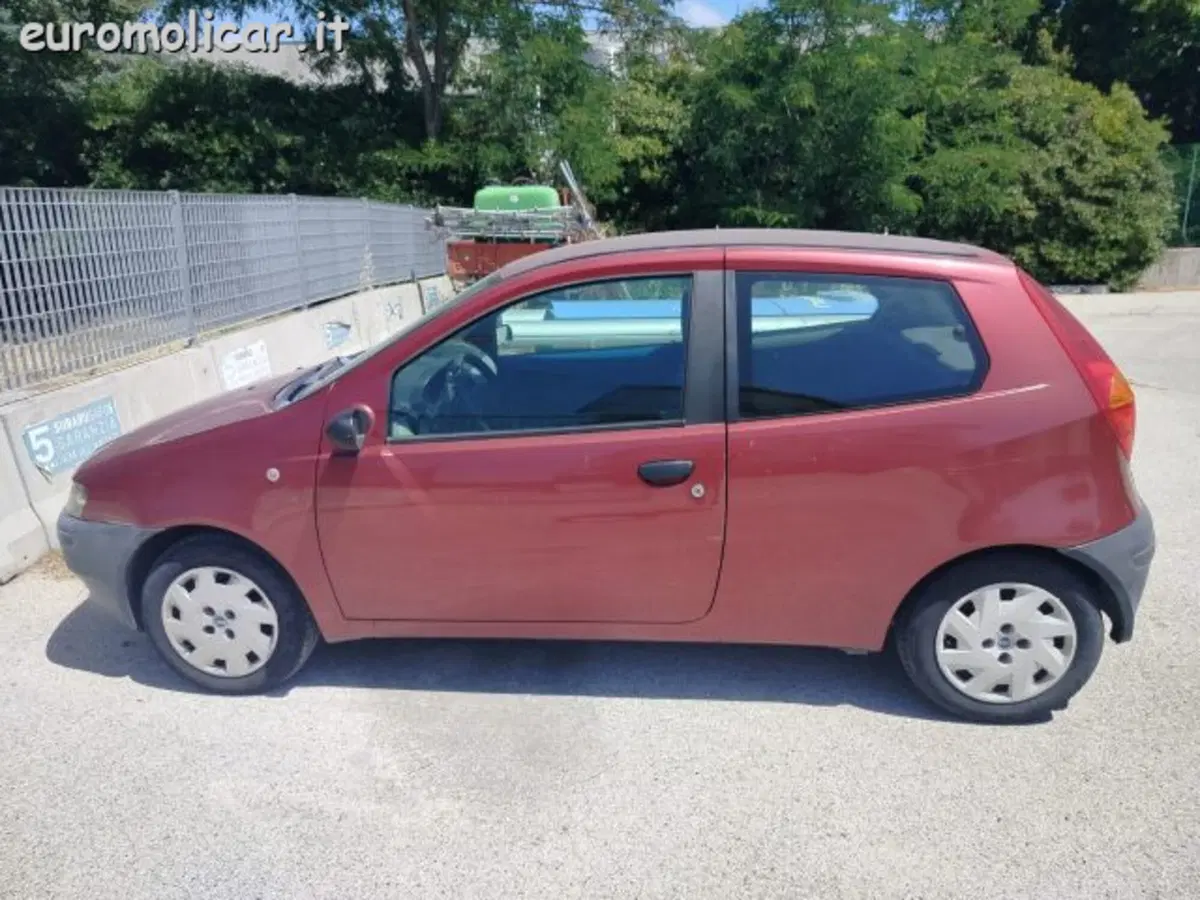 Fiat Punto usata a Campobasso