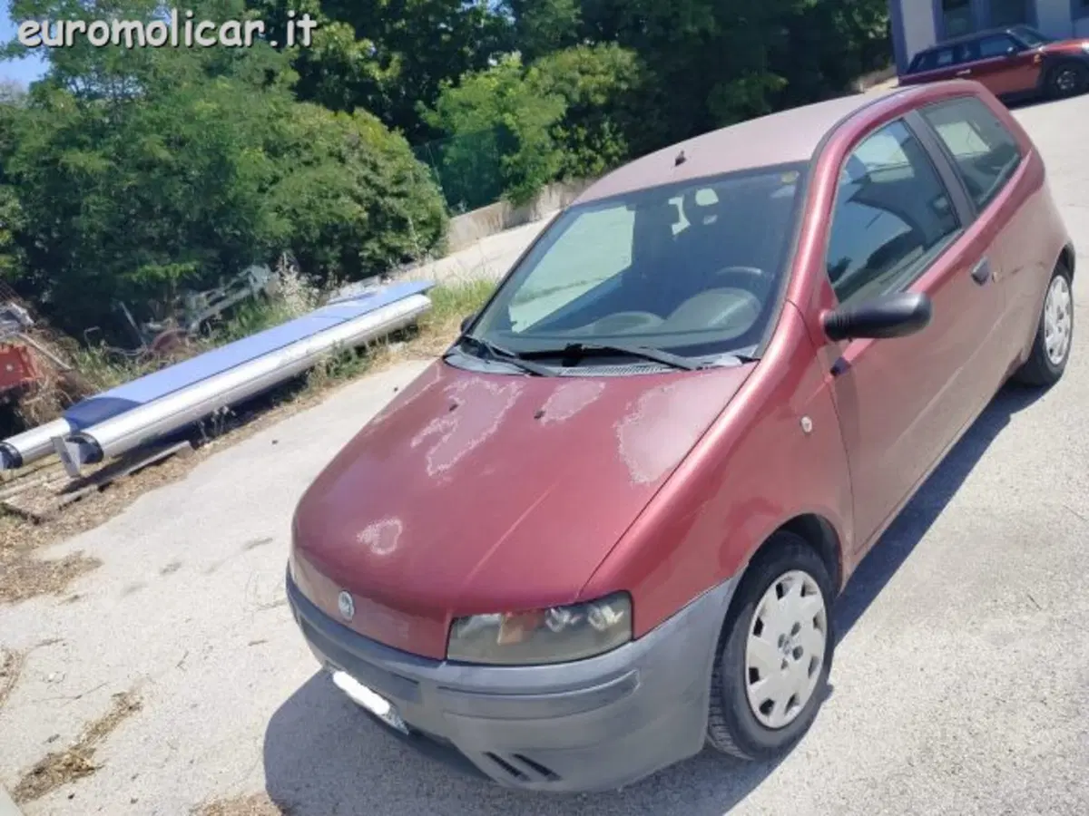 Fiat Punto usata a Campobasso (3)