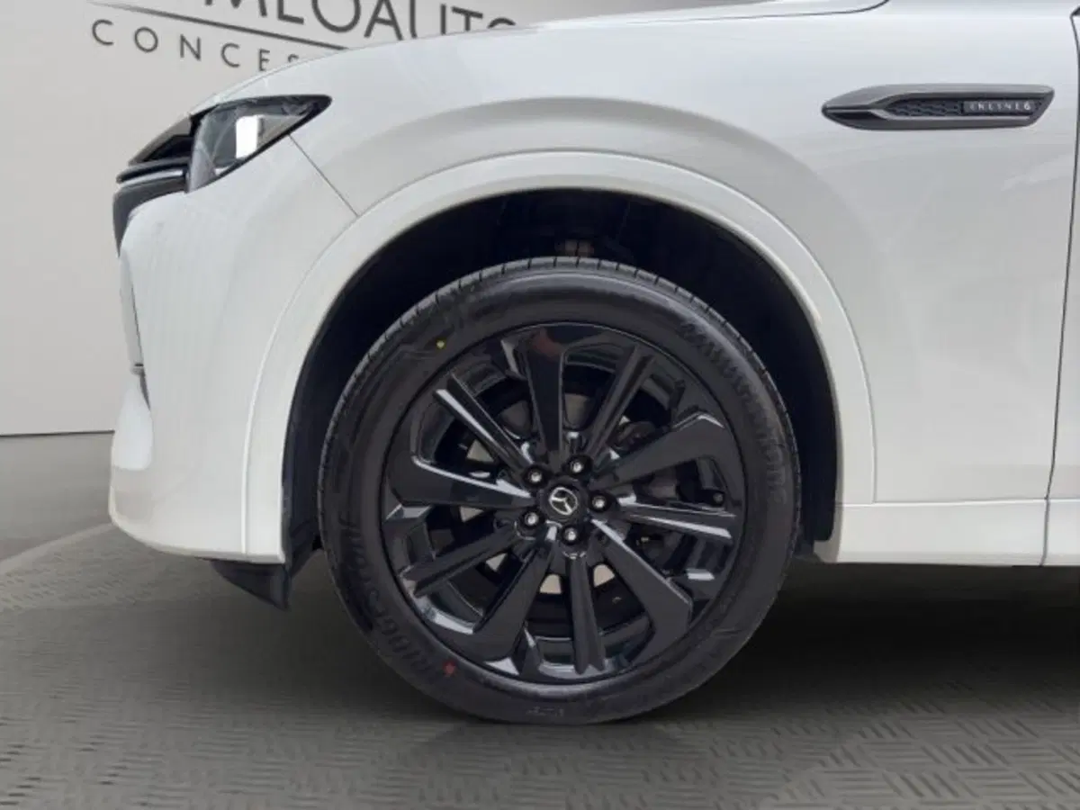 Mazda CX-60 usata a Perugia (19)