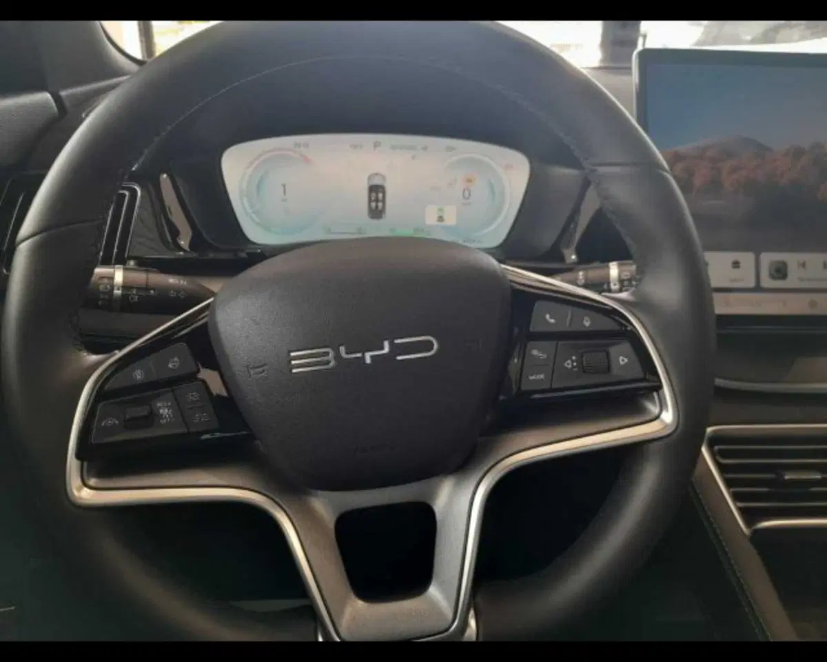 Byd Seal U DM-i  usata a Bologna (15)