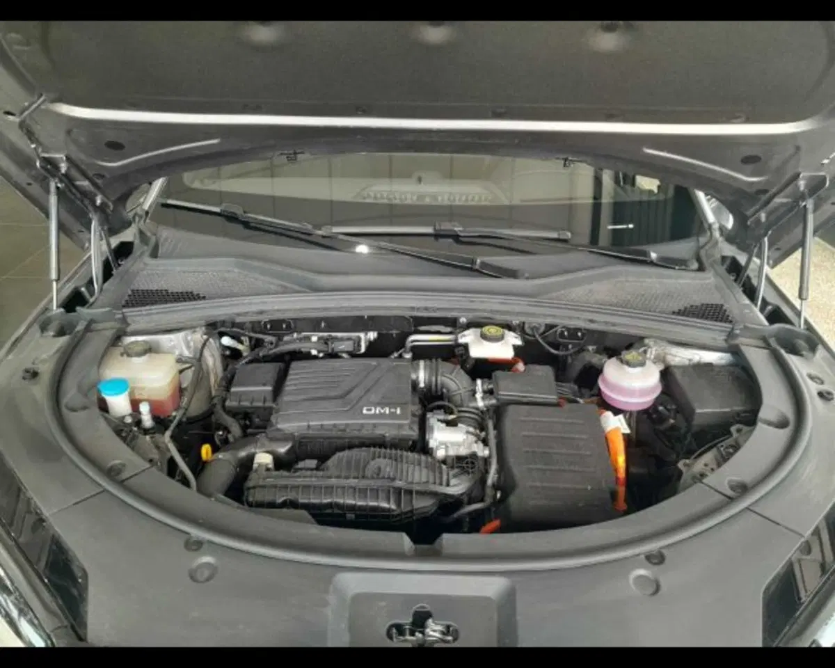 Byd Seal U DM-i  usata a Bologna (20)