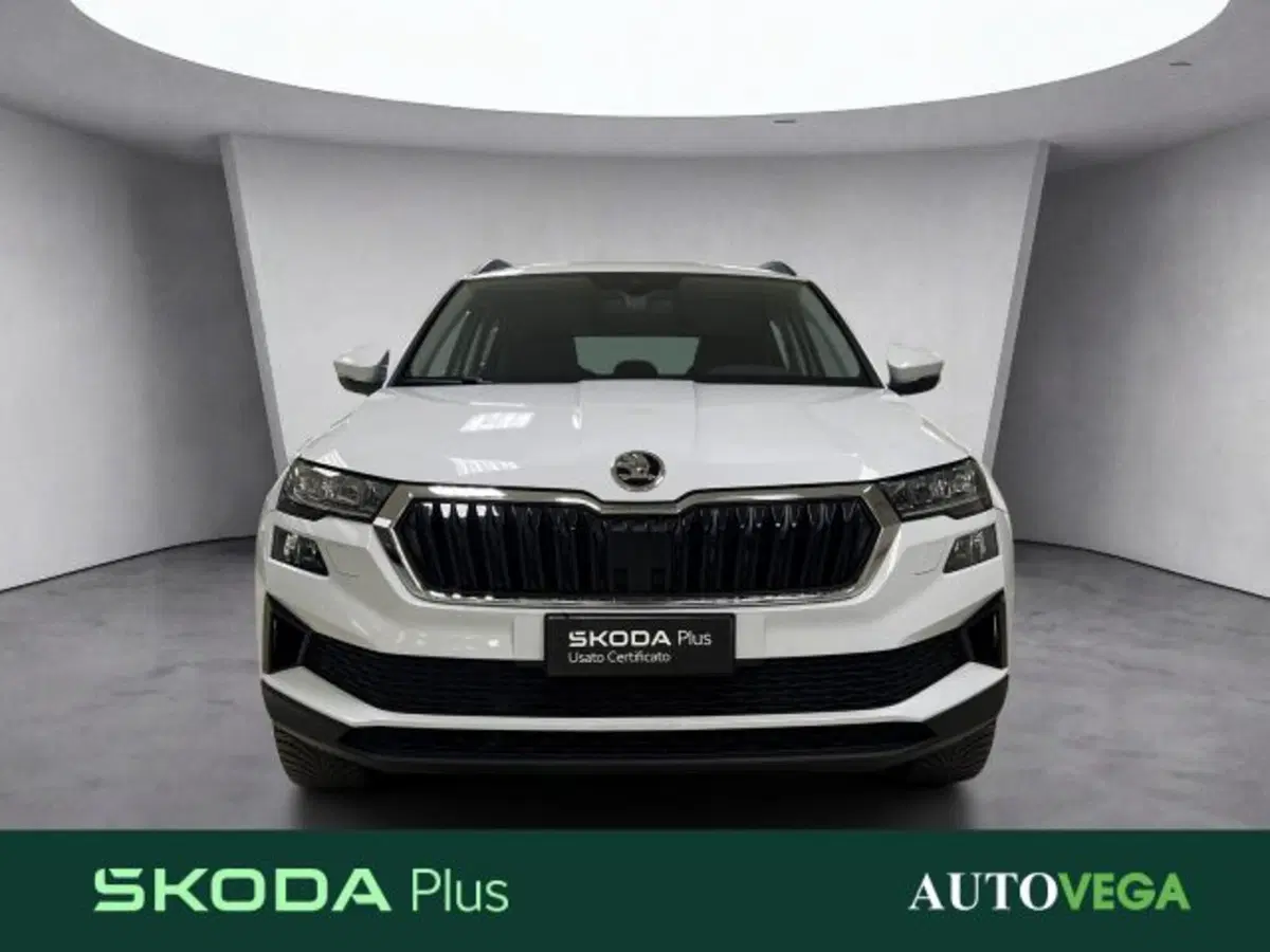 Skoda Karoq usata a Vicenza (2)