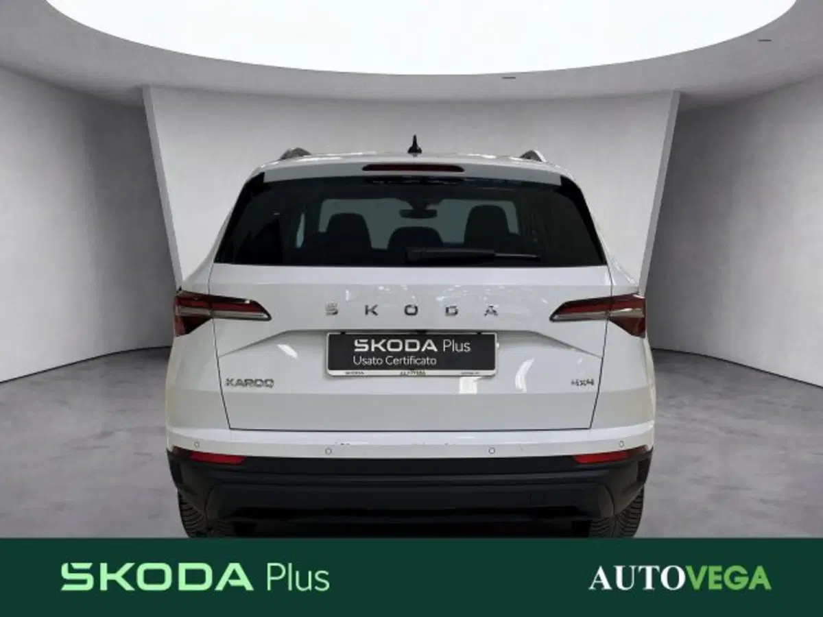 Skoda Karoq usata a Vicenza (5)