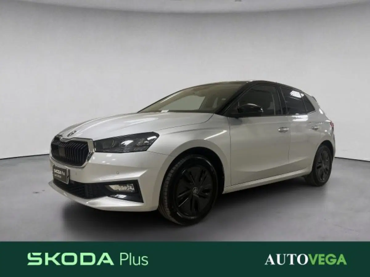Skoda Fabia usata a Vicenza